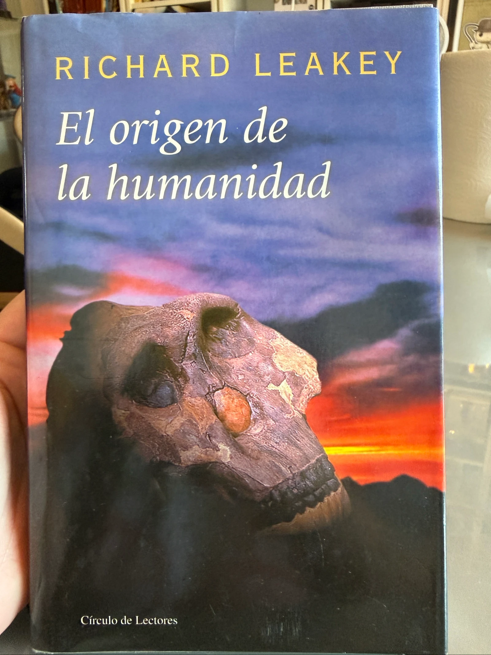 A Origem da Humanidade – photo 5